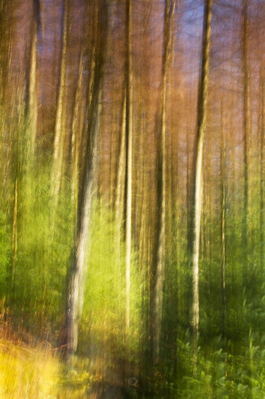 Impressions of Hafren - Wales