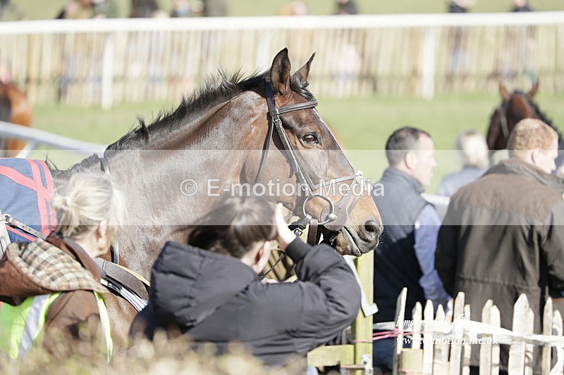 PtP 100423 984 - Old Berkshire Point-to-Point Lockinge 10/04/23