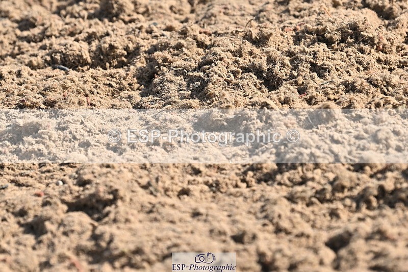 240509A-091631-00508 - Cls 8 Foxhunter