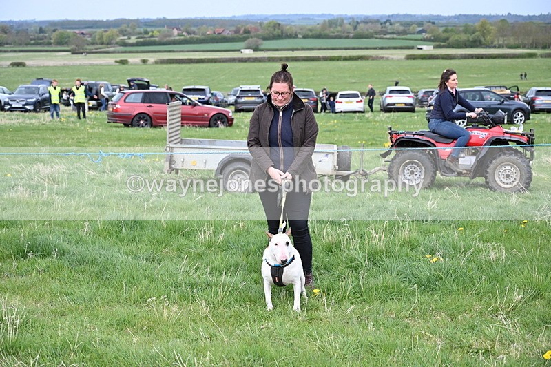 WJ6_8057 - Class 2 Best Pedigree