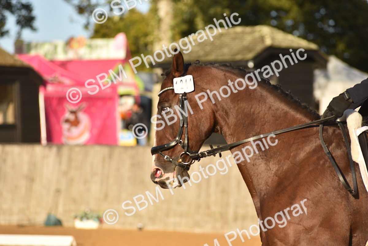 SBM_13363 - D19 - Small Tour Championship Elementary 1