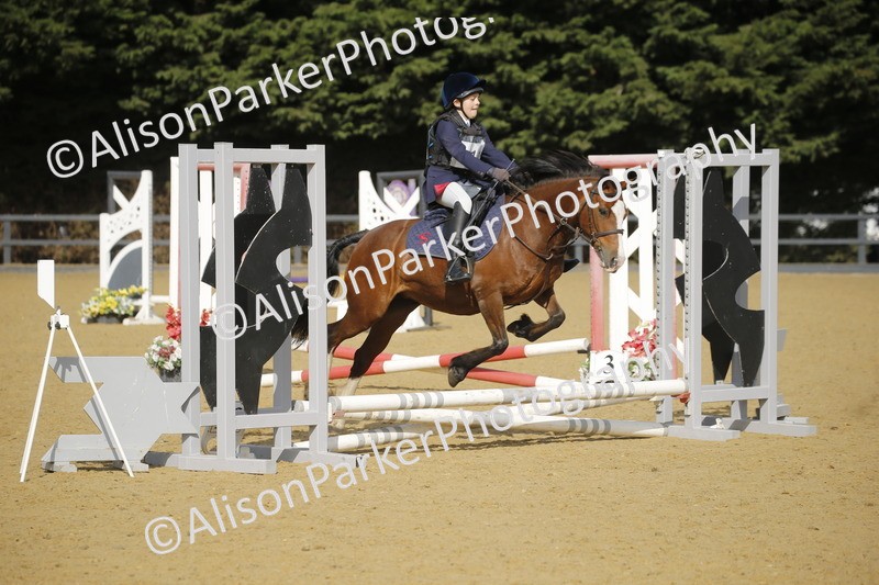 20250622-1372 - 40cm