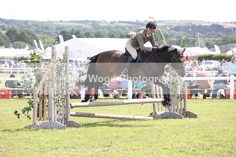 JPP_2179 - Class 19: Working Hunter 60cm