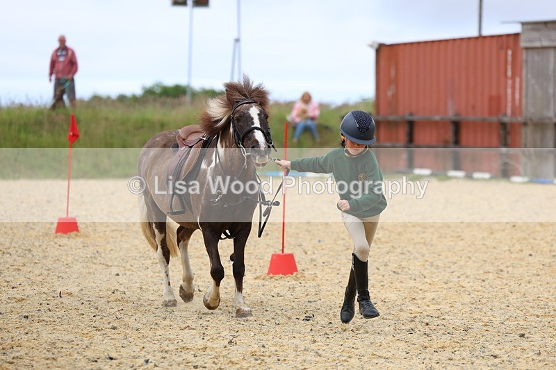 3E7A9583 - Walk trot run