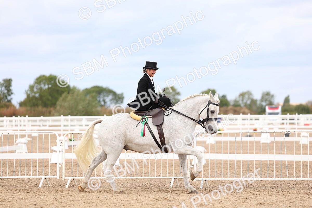 SBM_03491 - Class 24 - SSA Concours d'elegance (any age)