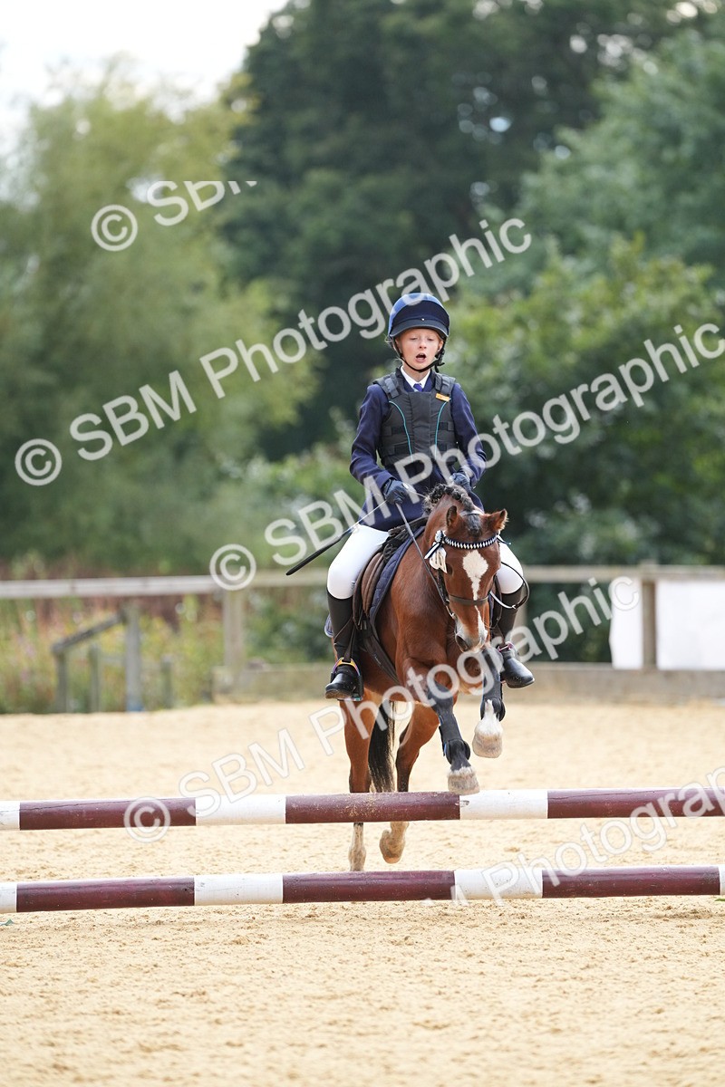 SBM_74741 - J4 - Mini Tour Junior Pony 45cm Championship