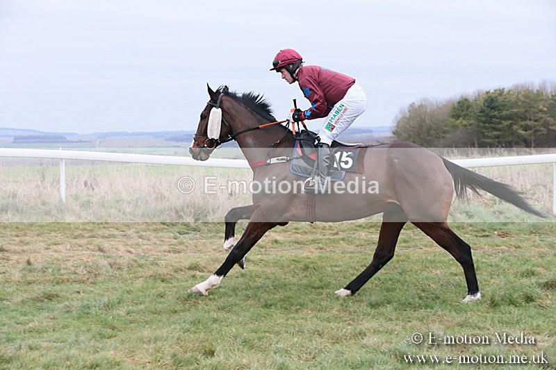 PtP 060119 305 - Larkhill Racing Club - Point-to-Point- 06/01/2019