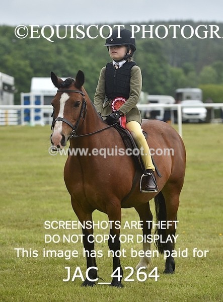 JAC_4264 - WORKING HUNTER CHAMPIONSHIP