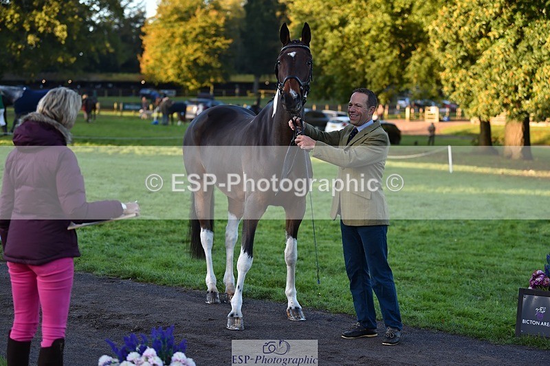 231022-083502-21241 - 640-UP.TO.MISCHIEF-Will.van.Ufford-TrotUp+SJ