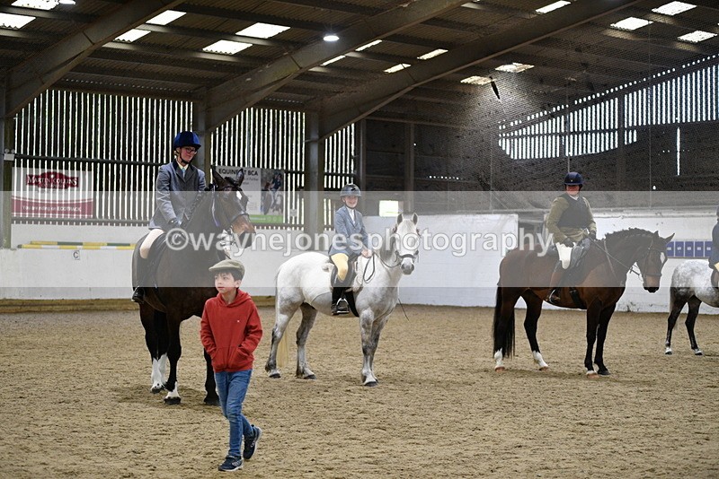 WJ5_8101 - Class 13 Ridden Part Breed