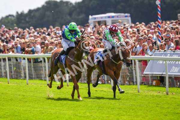 290723-Race 1-Soul Seeker-0270 - Race 1 2.05pm Sky Bet 'Jump Jockeys' Nunthorpe' Handicap