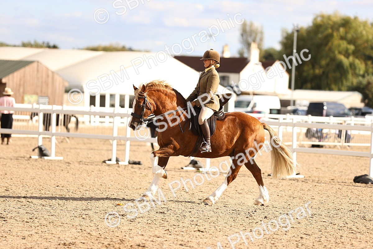SBM_18263 - Class 423 - Equitation (best rider) Adult