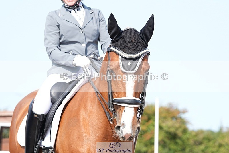 250815-102517-00419 - 007-kelly.jewellAvalon