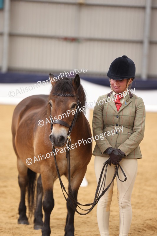20260913-1714 - Class 115 - Gelding 4years and over