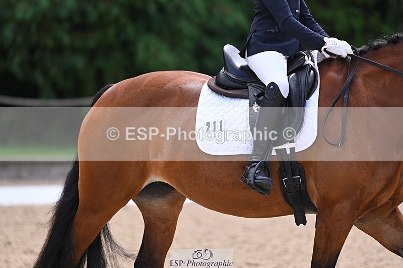 240809-120841-00685 - 211-Amelia.Dovey-Caederwen.Lady.Elinor