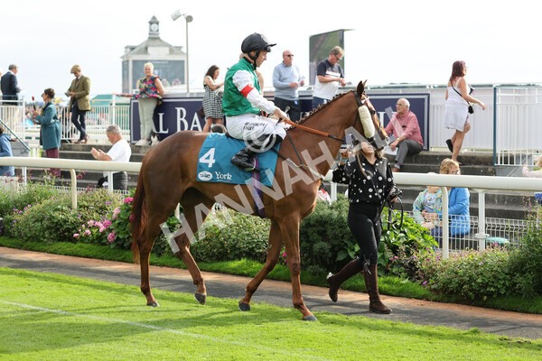 yr04092022r6-4 - Race 6 4.40pm Hanson Springs Stakes
