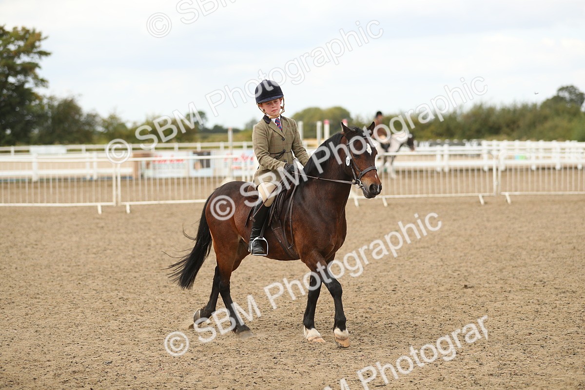 SBM_04865 - Class 47a Style & Performance 60cm (15-19)