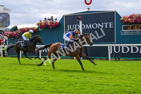 210824-Race 2-The Lion In Winter-4757 - Race 2 2.25pm Tattersalls Acomb Stakes