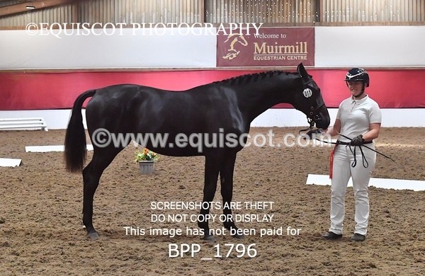 BPP_1796 - MORNING 9AM - 12PM