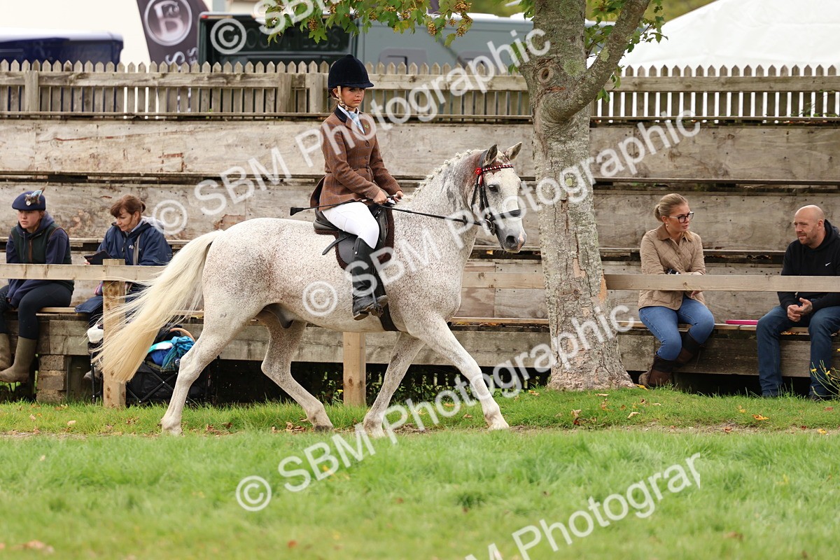SBM_64536 - S58 - Coloured Pony Ridden