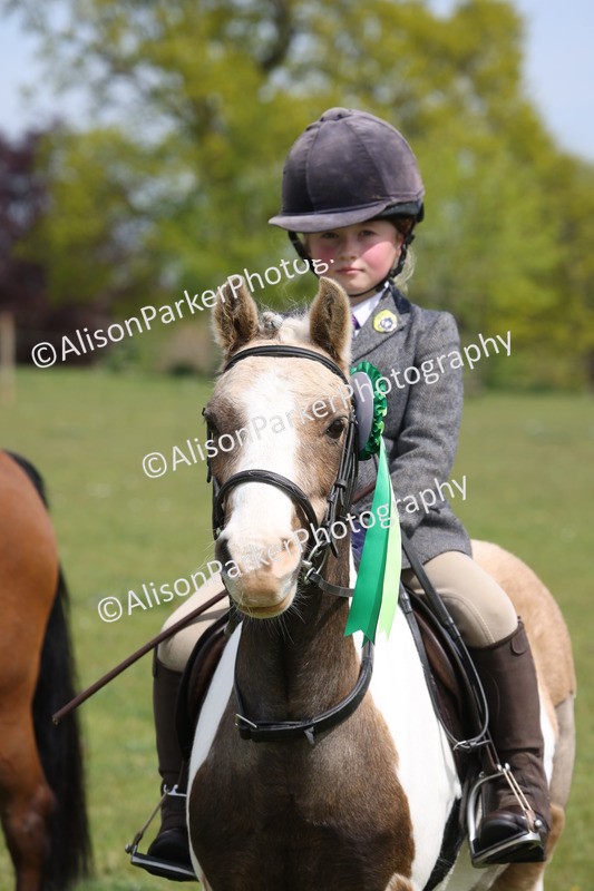 20260426-4022 - Class 33 - Best Pony 14.2hh and Under