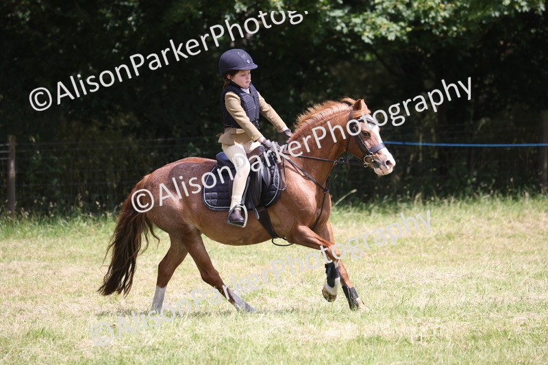 20260614-2016 - Class 21 - Novice Working Hunter Pony