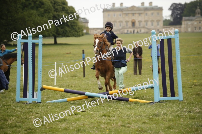20250517-0233 - Class 1 - 30cm On Lead Rein