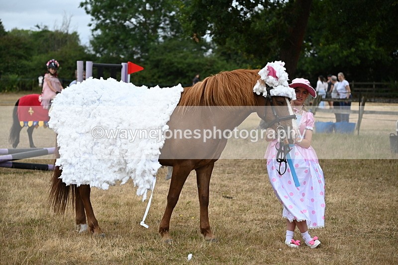 WJ6_8769 - Class 11 Fancy Dress