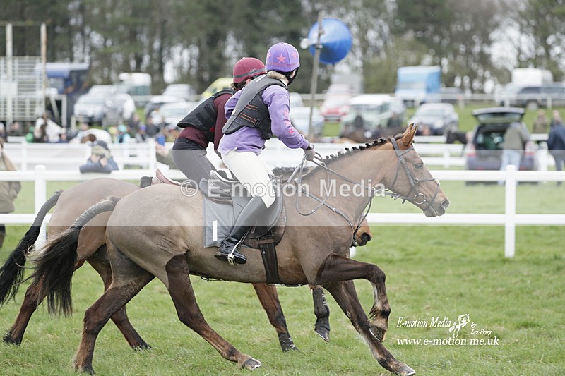 PtP 260323 0093 - New Forest Hounds Point-to-Point Larkhill 26/03/23