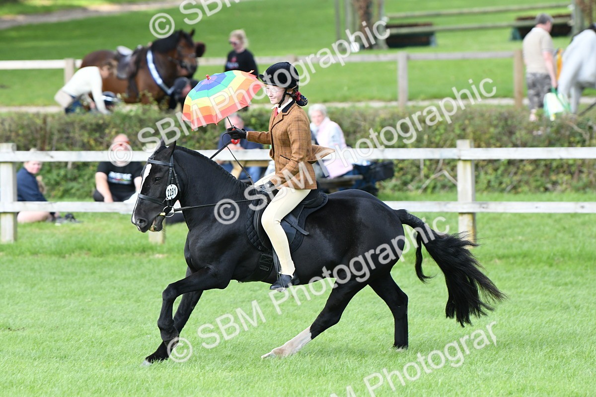 SBM_47072 - S12 - Family Horse & Pony