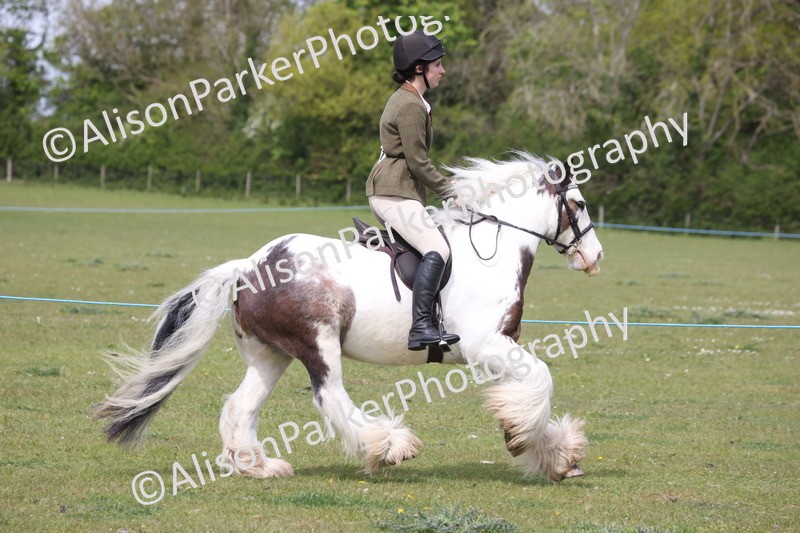 20260426-2986 - Class 33 - Best Pony 14.2hh and Under