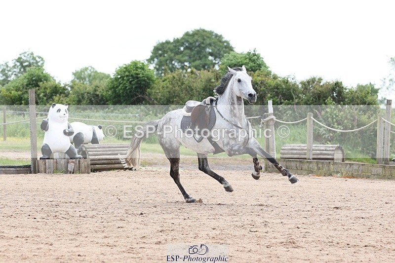 250525-111053-07733 - Cla 27 A&B 1.05 & 1.10m Snr Gran Prix