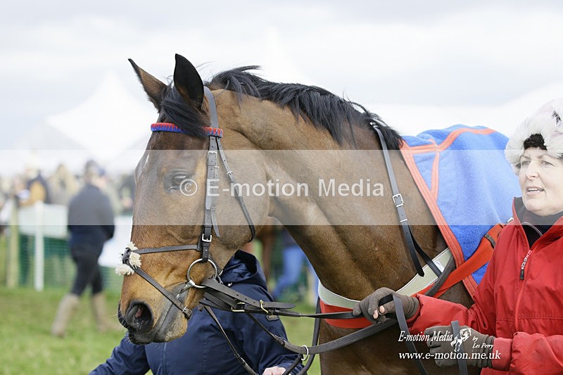 PtP 050322 738 - The Beaufort Races Didmarton 05/03/22