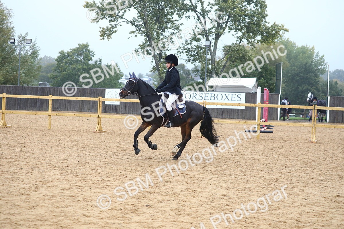SBM_71787 - J4 - Mini Tour Junior Pony 45cm Championship