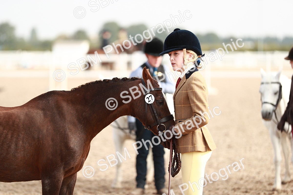 SBM_10594 - Class 204 Young Handler, 11-16 years