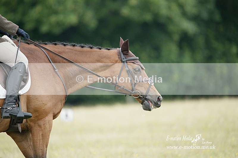 BVRC 030721 123 - Bourne Valley Riding Club Dressage 03/07/21