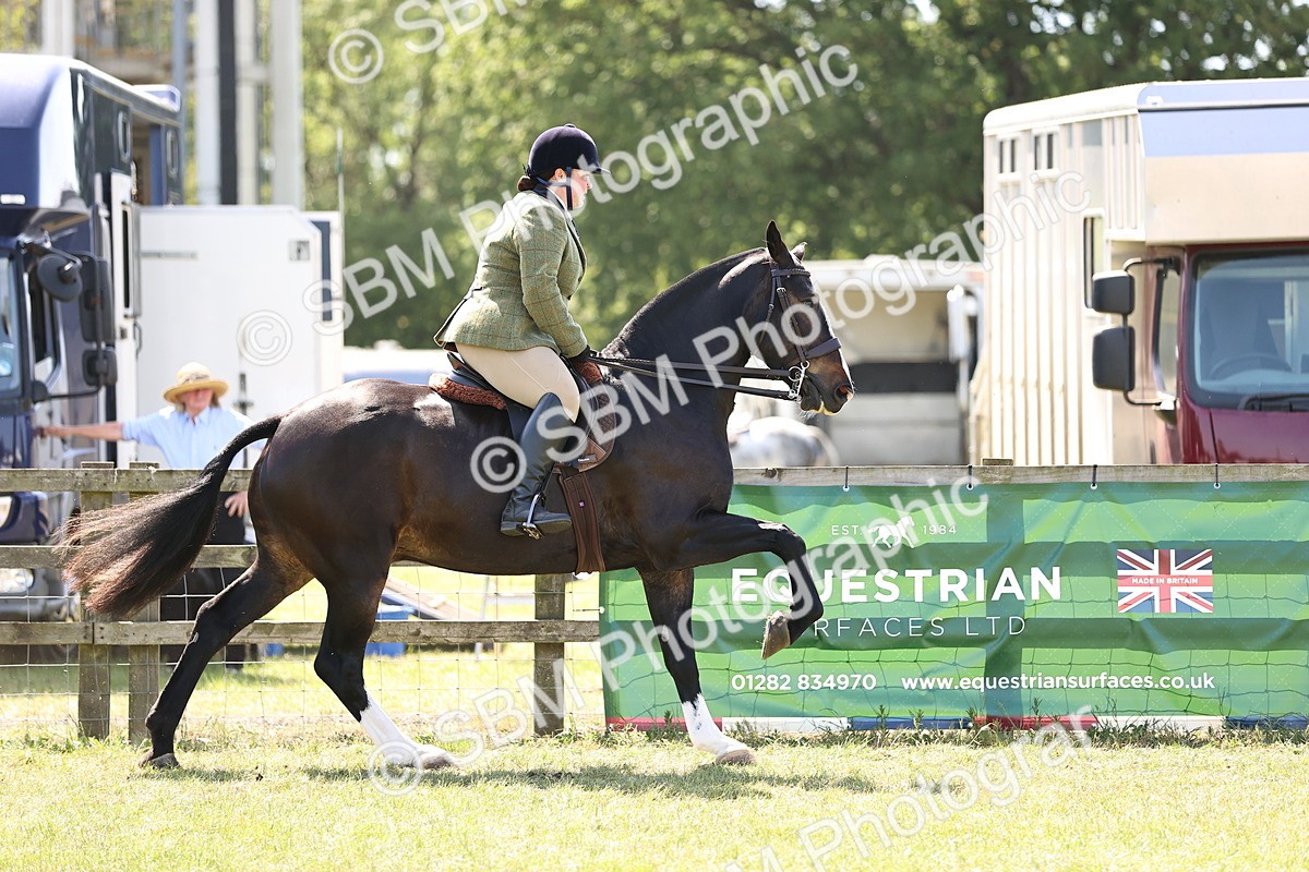 SBM_17836 - Class 81-83 - TSR Ridden Amateur of the Year - Horses