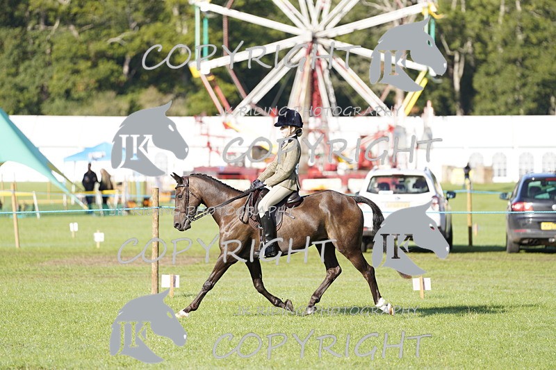 _DSC9430 - Class 8 & 17 Ridden Hunter & Ridden Hunter Pony