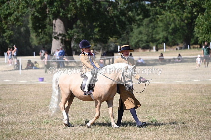WJ6_9111 - Championship Classes 33-38