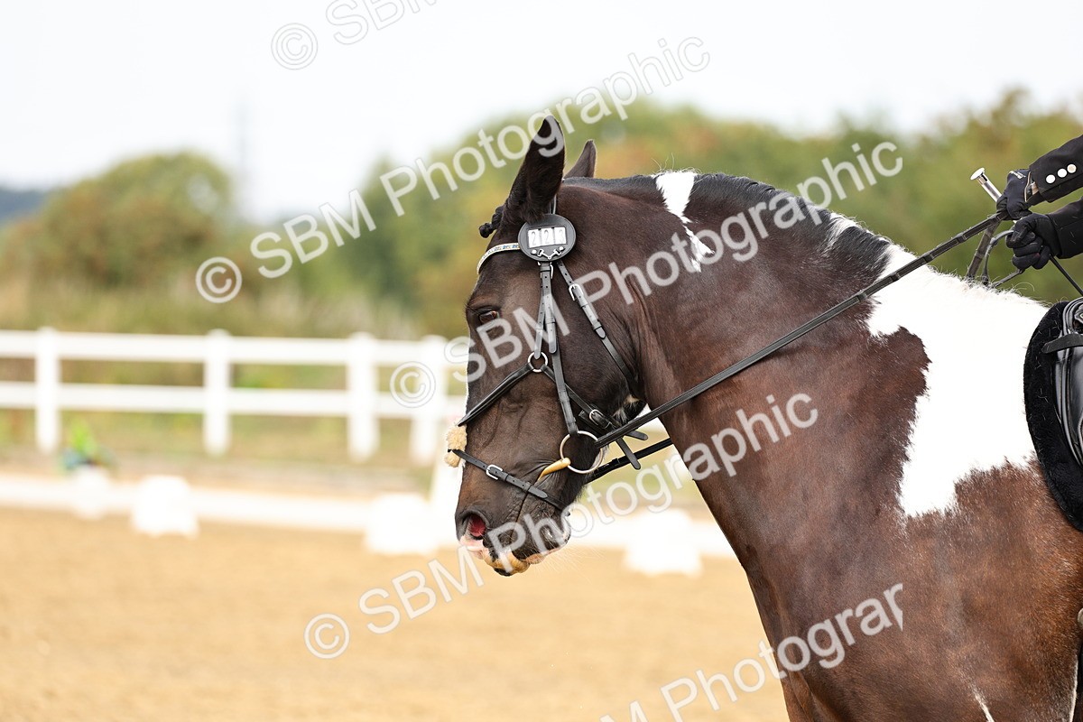 SBM_012212 - Class 2 - Prelim 5