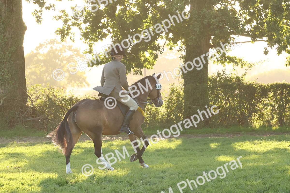 SBM_53198 - Veteran Supreme Championship