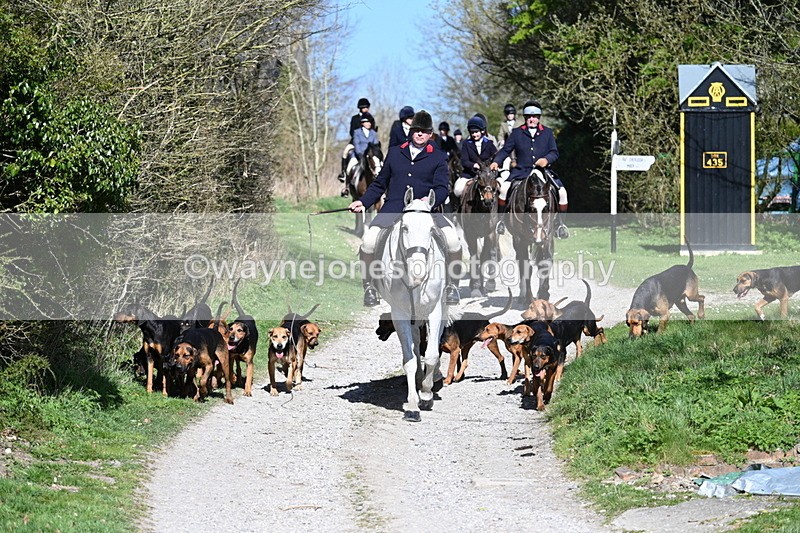 WJ7_9636 - Home for hunt tea !