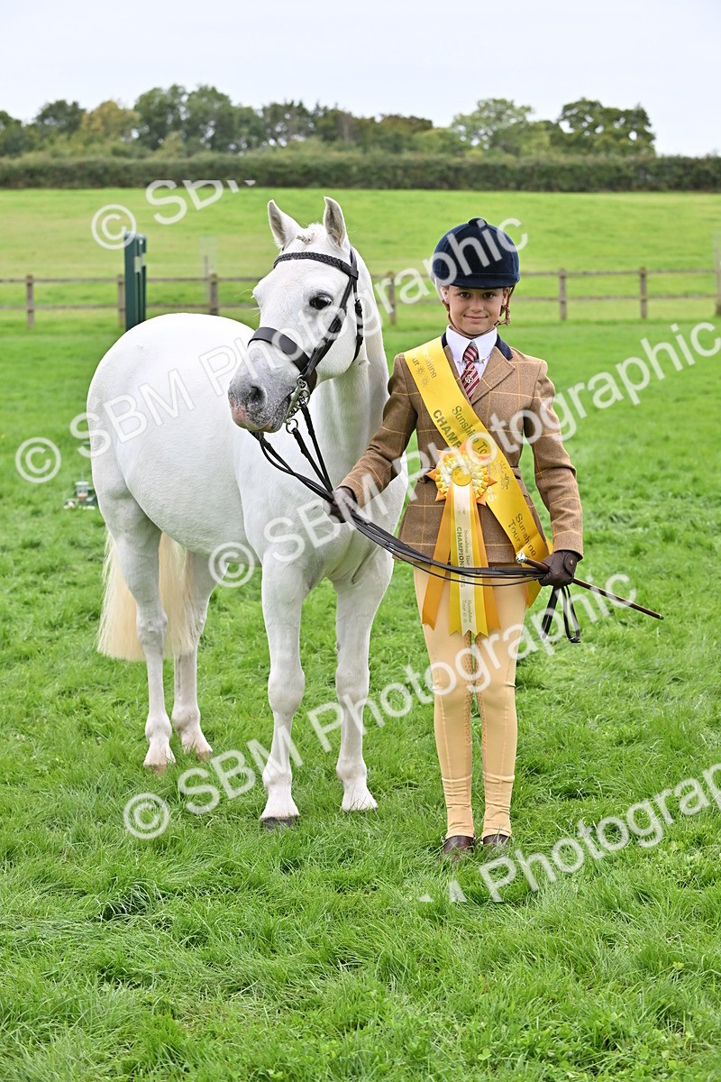 SBM_64954 - S50 - Show Pony & Show Hunter Pony In Hand