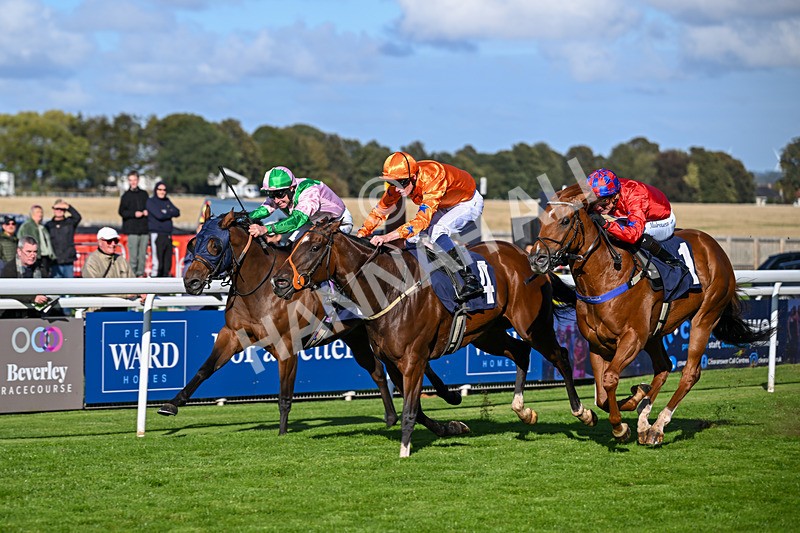 230925-Race 4-Elegant Erin-0679 - Race 4