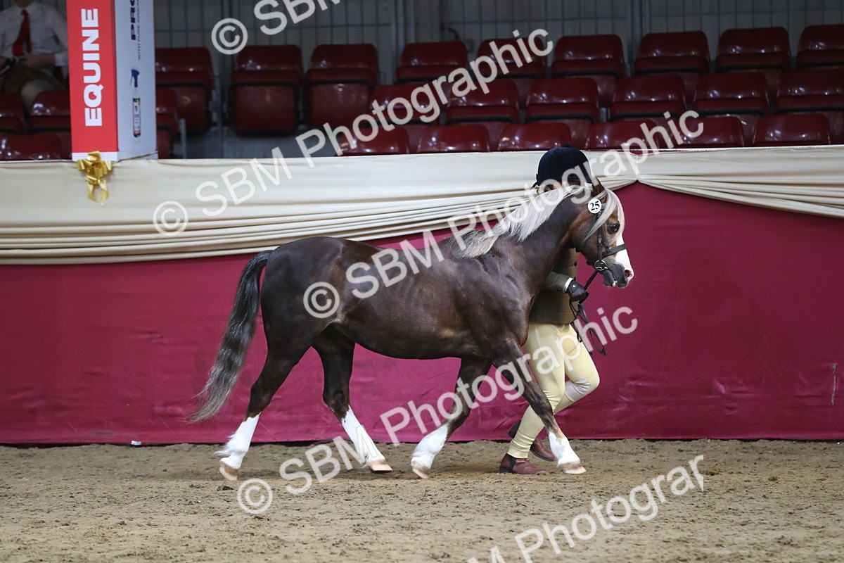 SBM_06530 - Regional IH Champ
