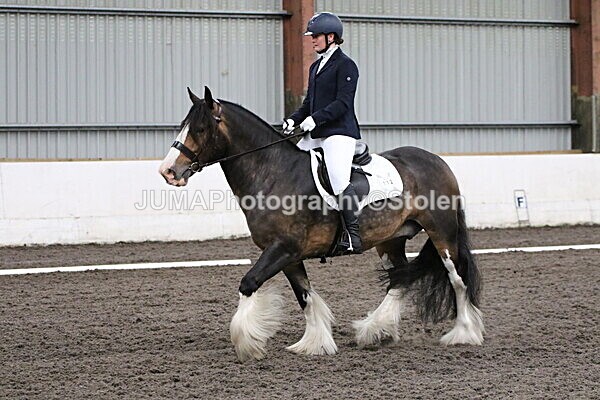 SIAL4122 - CAbin Dressage 5th july 2025