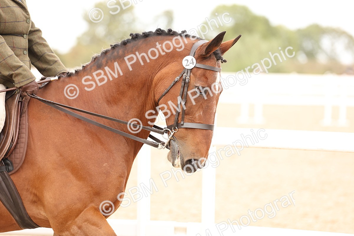 SBM_16466 - Class 212 - Ridden Hunter - Small