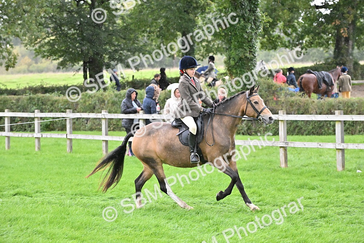 SBM_42948 - S12 - Family Horse & Pony