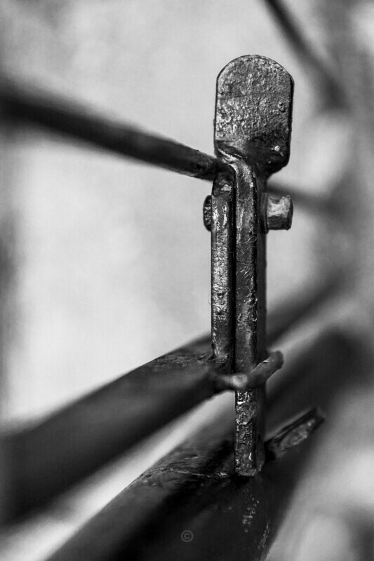 Lockdown II - The Lockdown Series