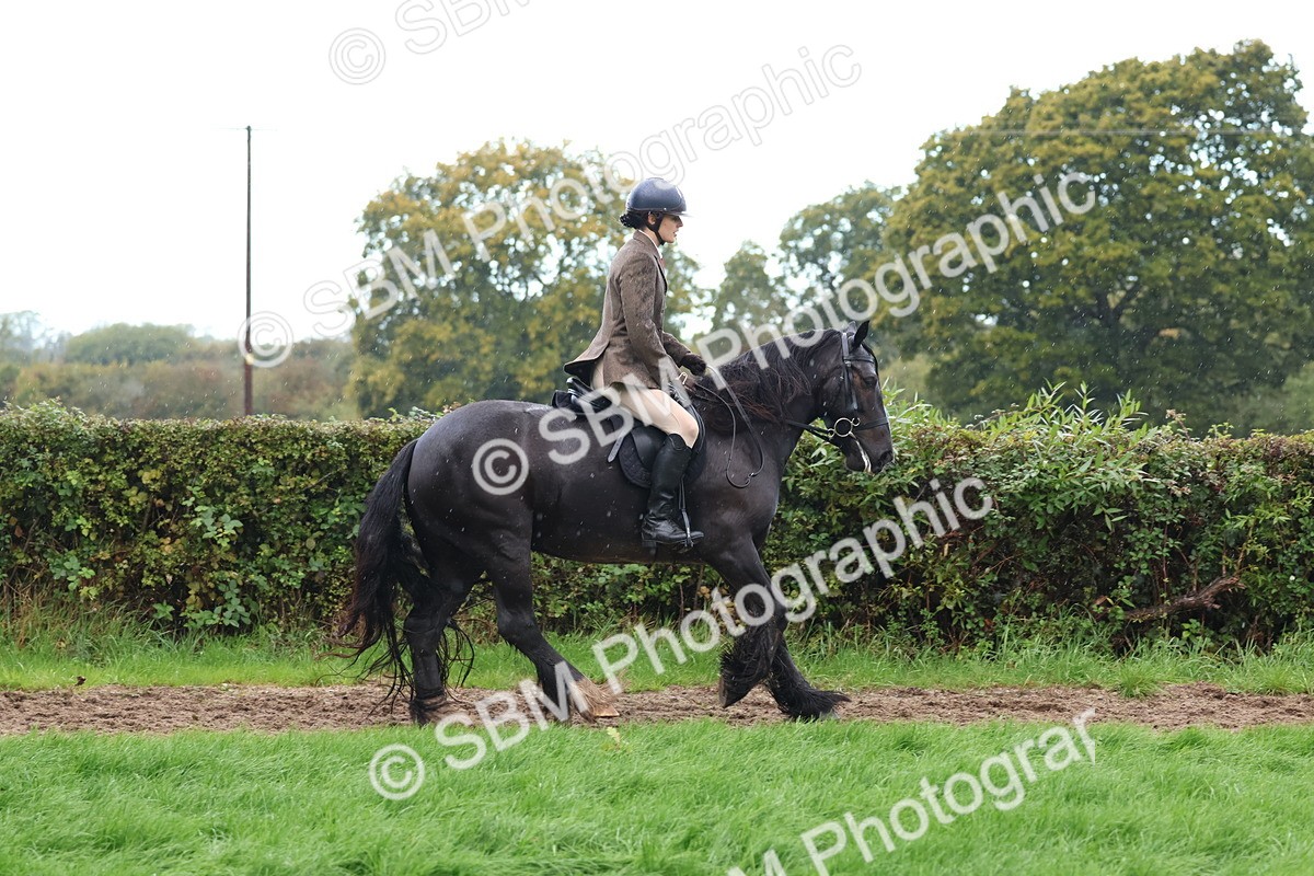 SBM_36853 - S11 - Best Ridden Horse & Pony